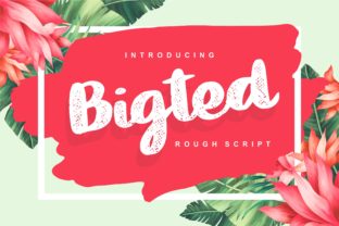 Bigted: A Summery Script Font for Modern Design
