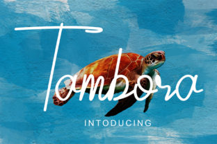 Tambora: A Standout Script Font for Modern Design